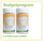 Budgetprogram