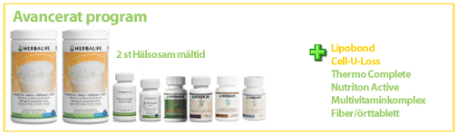 Avancerat program