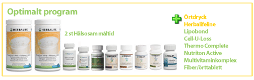 Optimalt program